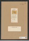 Biddulphia ? reversa Grove et Sturt. (de-Toni-Nr.: Genus 123, Species 3491) Zeichnungen Sammlung Grunow Nr. 6983 (NHMW-BOT-W0375887)